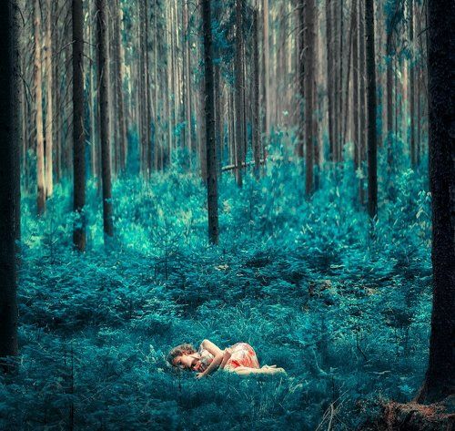 Sleeping in magic forest