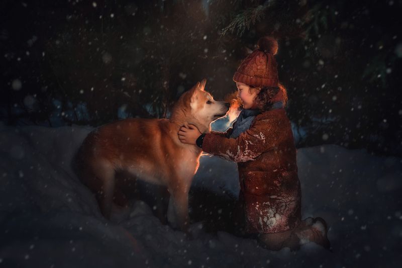 девочка, собака, сказка, снег Друзьяphoto preview