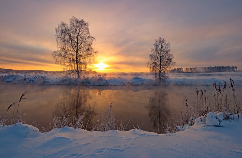 мороз, утро, свислочь, зима Январь рассветныйphoto preview