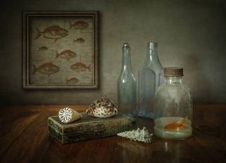 wish or fish