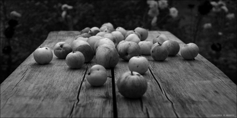 Яблочный спасphoto preview