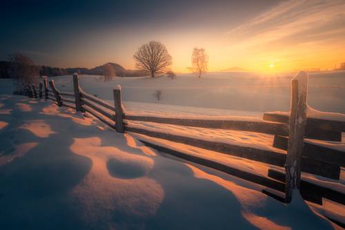 Winter sunrise in meadows