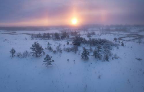 -20