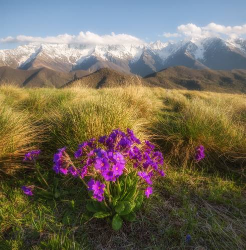 Весна в горах Ингушетии