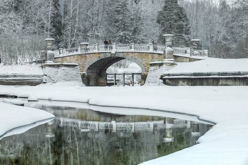 Павловск зимой фото Павловск зимняя зарисовка. Фотограф Елена Маковоз