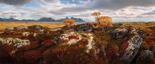 Северная осень (Норвегия, Лофотены)