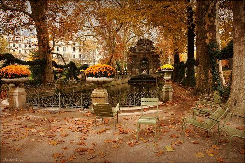 Осенний хаос у фонтана Медичи