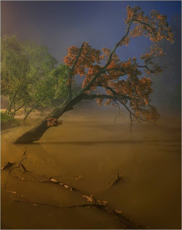 Осень, Река, Туман ***photo preview