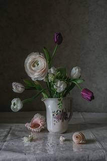 Тюльпаны, лютик и ракушки
