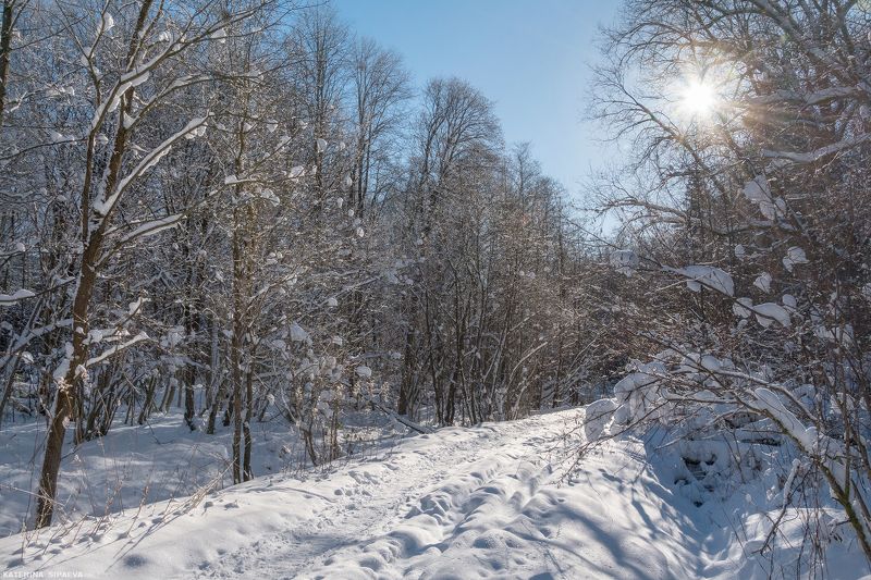 природа, зима, лес, пейзаж Зимнее солнцеphoto preview
