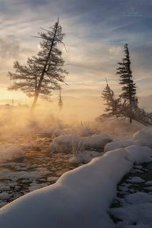Морозное утро