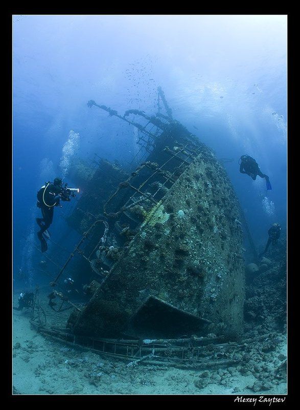 зайцев, подводное, фото, затонувший, корабль, красное, море Джанис Диphoto preview