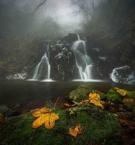 Last autumn drops