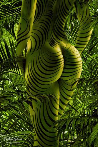 chameleon nude rain forest