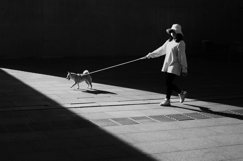 black and white , street photography photo preview