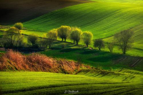 Spring in Poland countryside