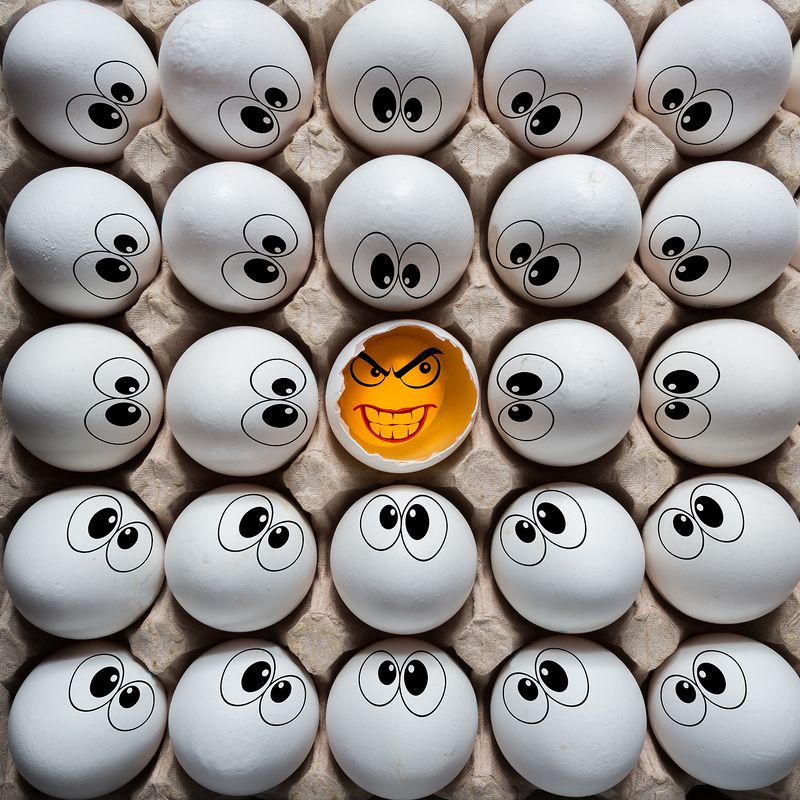 Когда берёшься за яйца, результат может быть неожиданный...
