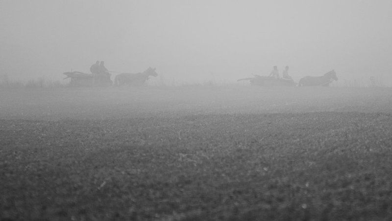 Into The Fogphoto preview