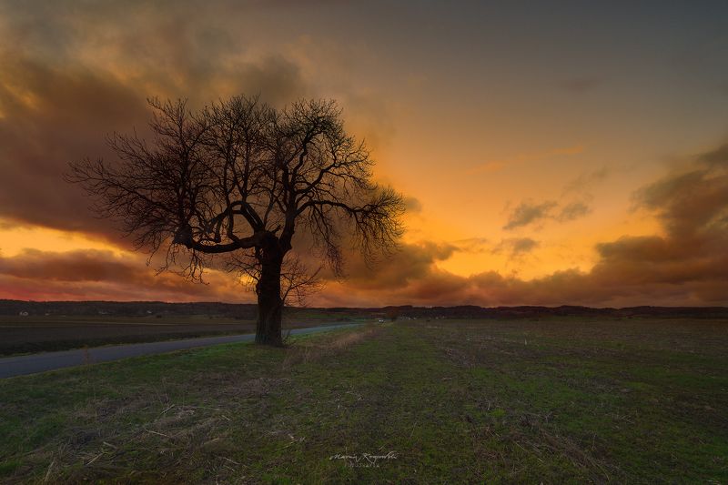 35photo World Photography