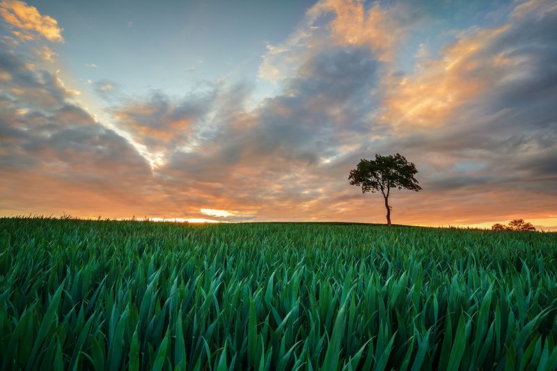 35photo World Photography