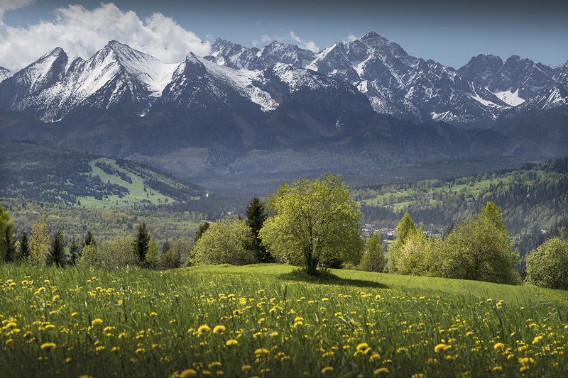 Spring in the Tatras