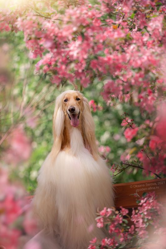 35photo World Photography