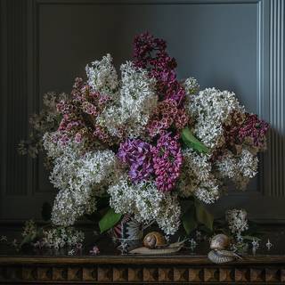 Сирень и улитки