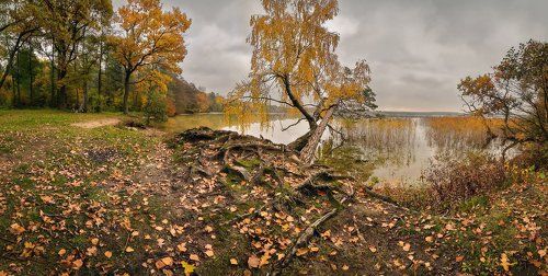 Октябрь на озере Свитязь