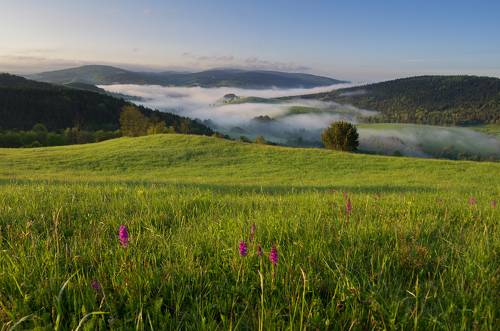 Spring in the Bieszczady Mountains