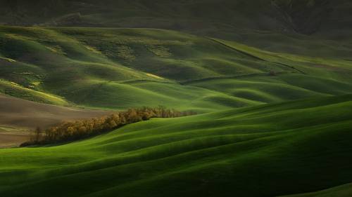 Зеленые поля Тосканы