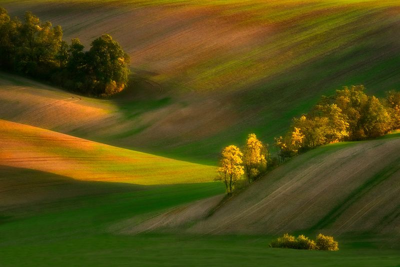 Moravia 