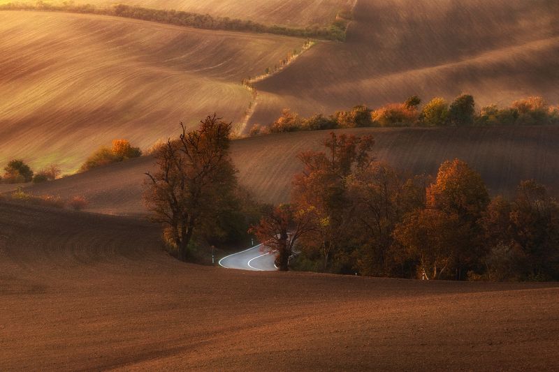Autumn fields at sunset