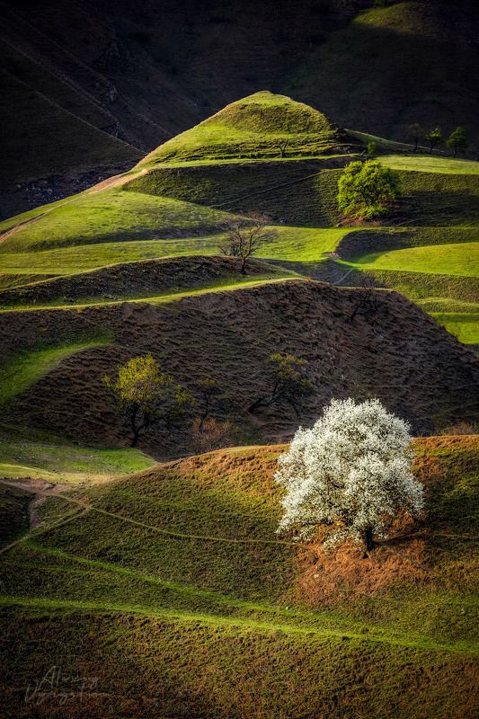 35photo World Photography