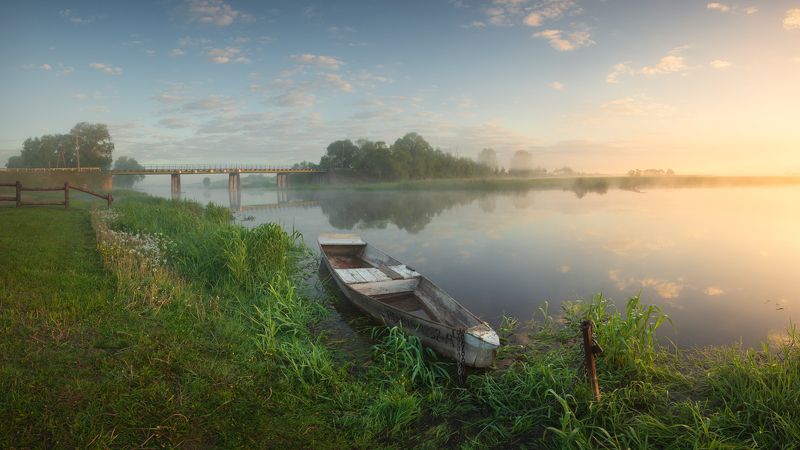 Foggy morning over Biebrza river