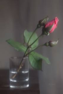 Продолжая