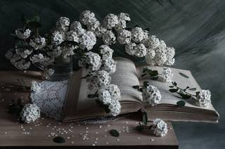 Еще про спирею и книгу