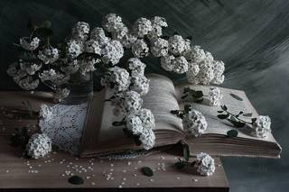 Еще про спирею и книгу