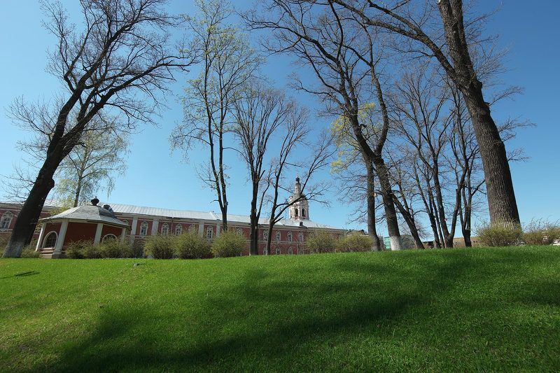 монастырь, донской, газон, весна, молодая листва, распускающиеся листья Донской монастырьphoto preview