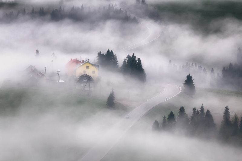 В объятиях тумана