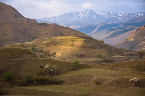 Дагестан, долина у села Чох