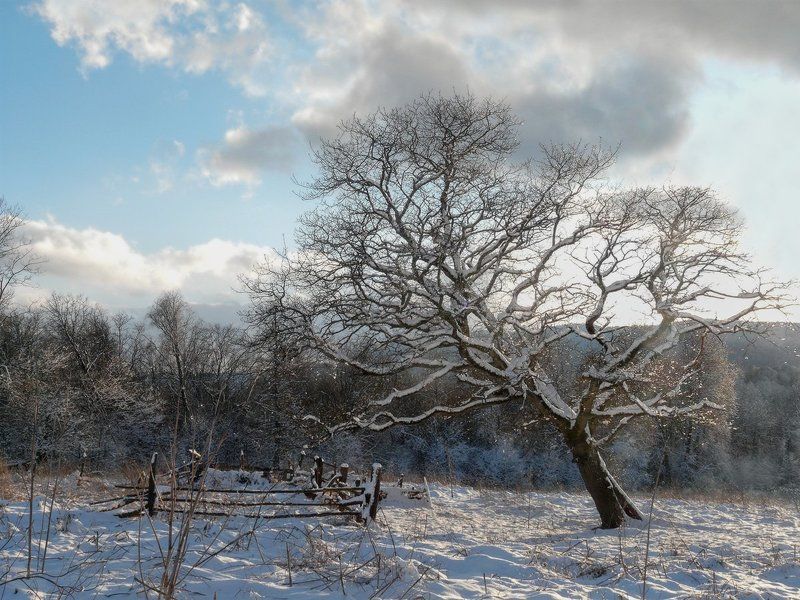 Зима, Хамышки Зимняя открытка из Хамышковphoto preview