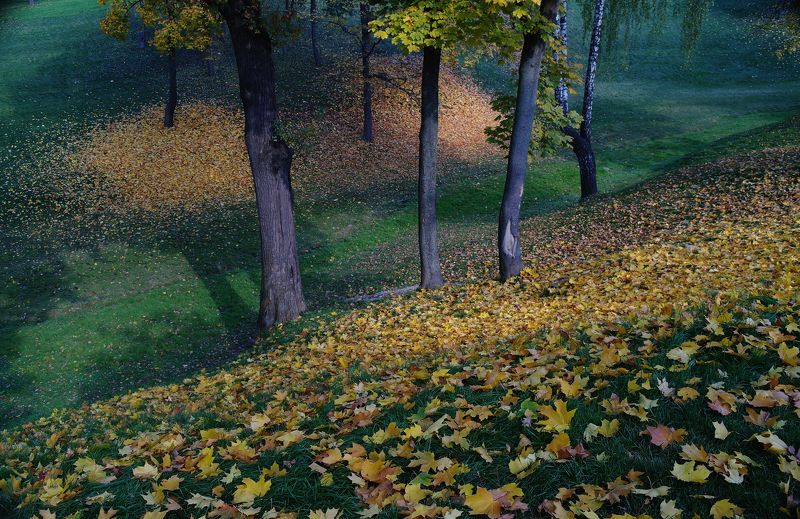 осень, желтый лист, гадать, любит-не любит, листопад Это вам не на ромашке гадатьphoto preview