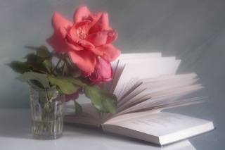 Продолжая книжно-розочную тему...