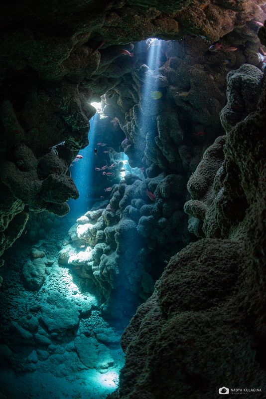 underwater, cavern, cave, diving, underwater photography, landscape, mystic, water, fish, rock Hidden Secretsphoto preview