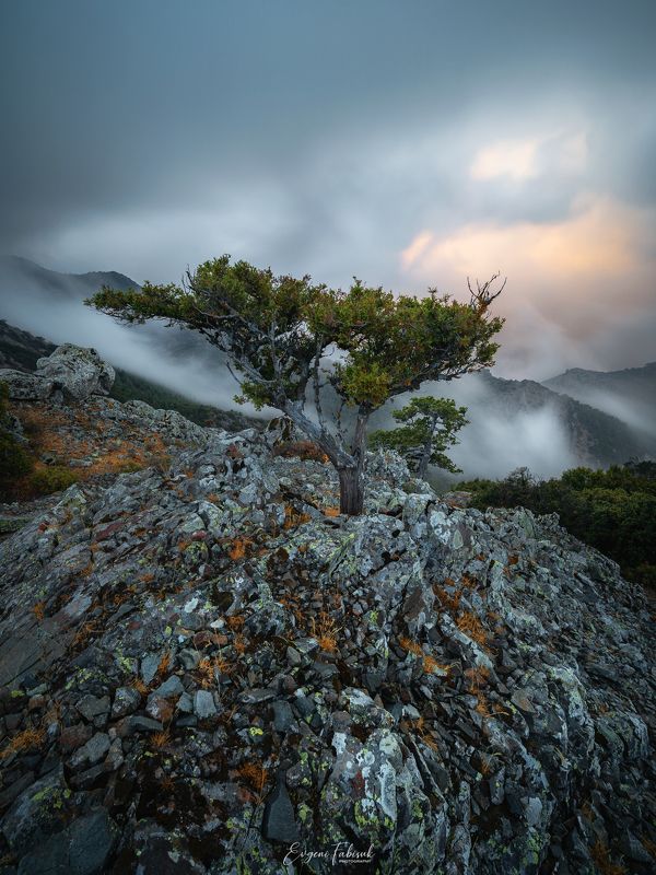 35photo World Photography