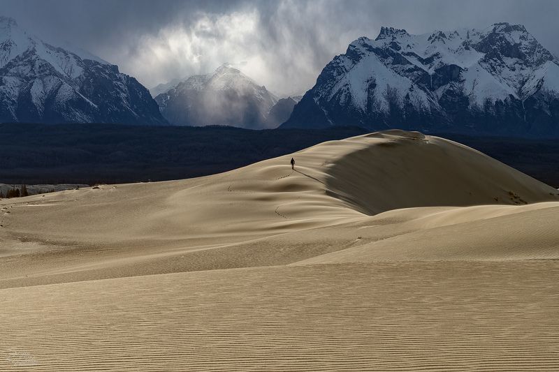 забайкалье, чара, чарские пески Одинокий в пустынеphoto preview
