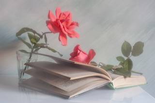 Книжно-розочная тема продолжается!