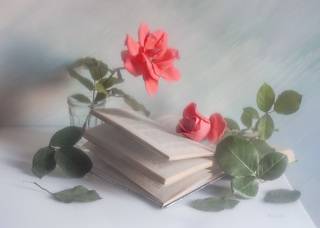 Еще про розочно-книжное...