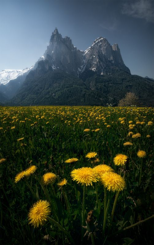 35photo World Photography