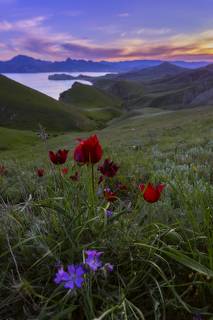 Краски крымской весны